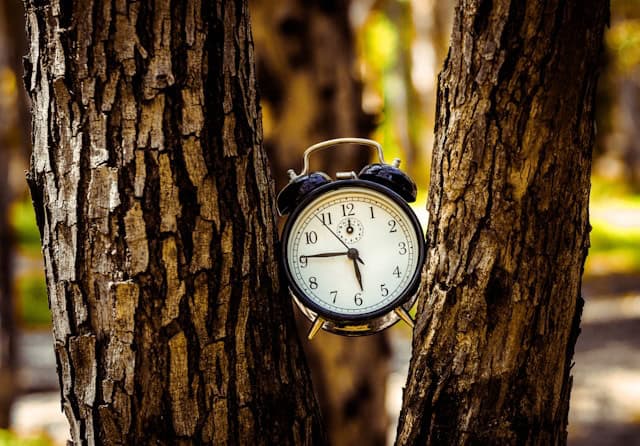 timely responses